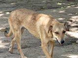 Teo - 08/ 2025