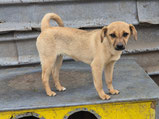 Wilma - 09/ 2025