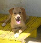 Emili - 10/ 2024