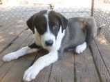 Oscar - 03/ 2025