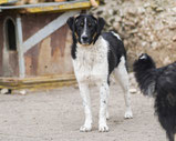 Brody - 08/ 2025