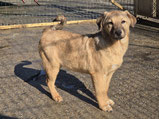 Sadie - 09/ 2025 