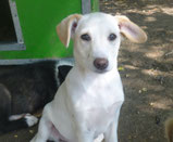 Elinor - 03/ 2025