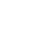 Mercedes PKW und Van Service