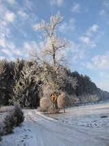 Winterlandschaft mit Kreuz in der Hallertau