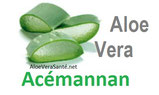 la consommation du gel et non du jus d’Aloe vera a pour effet de diminuer la glycémie, d’améliorer la digestion… Le gel d’ Aloe vera apporte aussi de nombreuses vitamines, des minéraux, etc