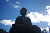 下野第十七番札所　福寿海山善願寺（宇都宮市）