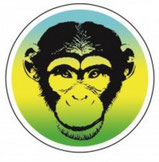 V'APE OUISTI FRUITY
