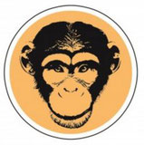 V'APE DONKEY