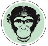 V'APE YETI