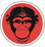 V'APE RED MANDRILL