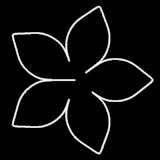 Superformel - Animation des zusätzlichen Parameters γ 