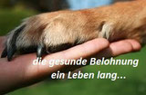 Ein leben a
