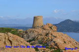 Tour sur la "Pietra"