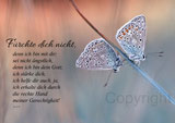 Bläuling, Schmetterling, Jesaja 41, Christliche Kunstkarten