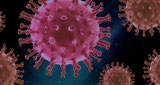 ssRNA SARS-CoV-2-Virus 