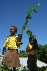 CFP Papua New Guinea