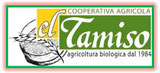 El Tamiso