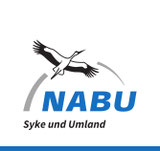 nabu-sykes Webseite!