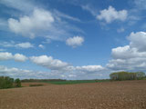 Landschappen