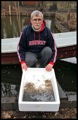 Detlef Korbaniak kümmert sich um den Besatzfisch, den Glasaalen.