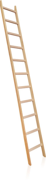 31-011 Timber Leaning Ladder with rungs