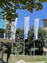 Bilder - Montage - Bern u. Umgebung
