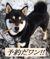 予約ページ