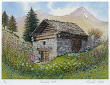   Mountain Hut  (Berghütte)  7/100