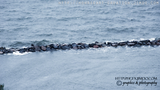 Ostesee/Usedom || © by Harley22  || hgfx.net on Howrse