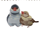 bunchoss ページ！