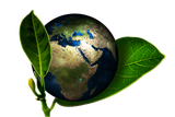 Bio Logo, Bio Supermärkte am Cap Sizun, Bretagne