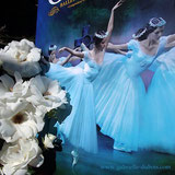ballet Giselle gabrielle dubois