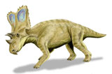 Bild eines Chasmosaurus