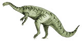 Bild eines Plateosauravus