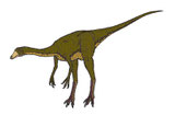 Bild eines Ornithomimus