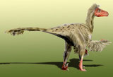 Bild eines Dromaeosaurus