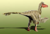 Bild eines Dromaeosaurus