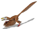 Bild eines Deinonychus