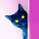 Bild. Eine blau-schwarze Katze mit großen gelben Augen schaut neugierig hinter einer Art pinken Vorhang hervor. 