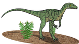Bild eines Eoraptor