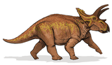 Bild eines Anchiceratops