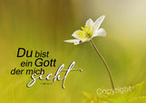 Jahreslosung 2023, Du bist ein Gott, der mich sieht, 1.Mo 16,13, Christliche Kunstkarten