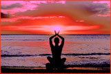 The wellness project