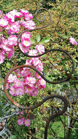 Rosenstab, Unikat, Swissmade 