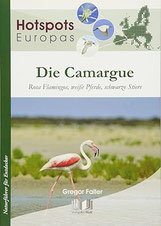 Reise Tipps Camargue Geheimtipps Flamingos 