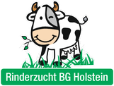 Rinderzucht BG Holstein