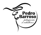 Logotipo de Pedro Barroso