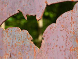Foto: (pixaby.de)