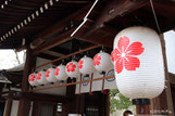 平野神社の桜の紋